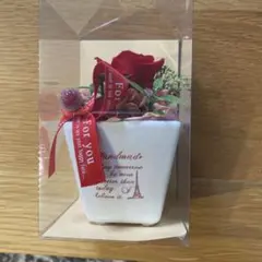 プリザーブドフラワーアレンジメント