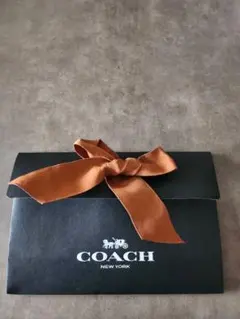 COACH 封筒型ショップ袋 A4対応