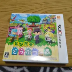 動作確認済　ニンテンドー　3DS　とびだせどうぶつの森　希少　レア