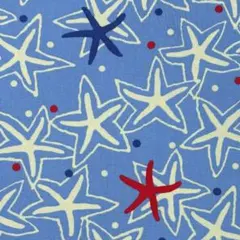 国産生地 う早この布 コットンこばやし ヒトデ ブルー キャンバス生地