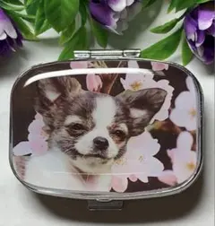 ⚠️フォロワー様感謝SALE⚠️ハンドメイド レジン チワワ ピルケース