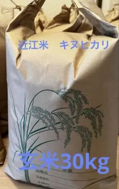 注目品種★令和7年度 兵庫県産にじのきらめき 30kg 山の湧水育ち 農家のお米 令和7年産!!にじのきらめき【玄米30kg】☆北埼地区限定米！ 商品詳細