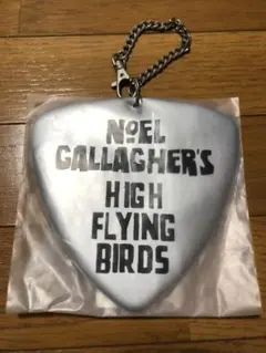 ノエルギャラガー ミュージシャン