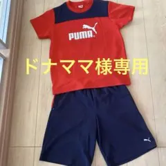 プーマ150cmセットアップ