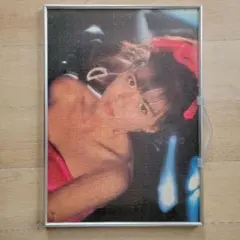 中山美穂　ジグゾーパズル　500ピース　No.500-G01 未開封 gs-joy_20241015065611-00038us