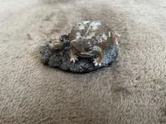 Item thumbnail for item 94eb152a-5660-4c15-80c2-32f8c615808b