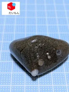 ⑭　青森県　今別　袰月産　舎利母石 2026年最新】舎利母石の人気アイテム メルカリ - 置物