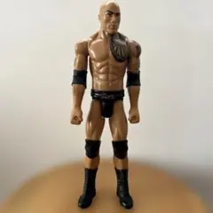 プロレス スポーツ