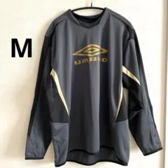 Item thumbnail for item df2bc9fe-58bc-423b-bfee-ec17ebe58fa2