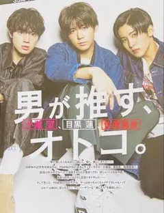 4889 小瀧望 目黒蓮 佐藤龍我 小坂菜緒 山﨑賢人 切り抜き