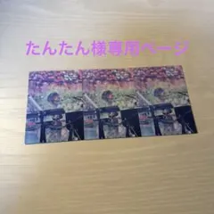 たんたん様専用ページ