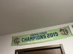 Item thumbnail for item 64a6defd-1e8e-41e5-91fa-3242332fda13