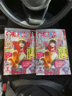 ワンピースマガジン 20号 プロモカード 付録付き 2冊セット