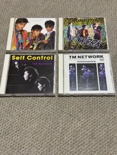 tm network 邦楽