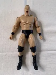 WWE マテル　エリート　スティーブ・ウィリアムス　カスタムフィギュア 2025年最新】マテル/WWEの人気アイテム - メルカリ