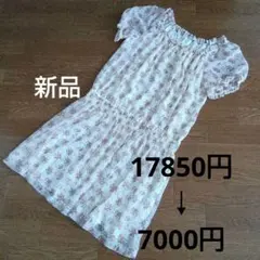 花柄　シフォンワンピース　ふんわり　透ける　レストローズ　17号　かわいい