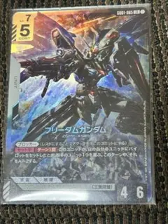 PSA10・格安】ガンダムカード フリーダムガンダム LR - メルカリ