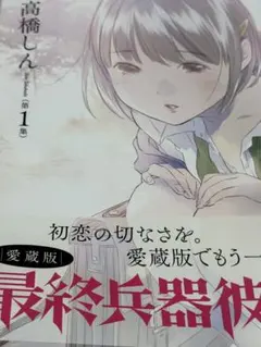 お宝美品☆高橋しん『最終兵器彼女』愛蔵版全巻＋外伝 61r-NTSKkeL._UF350,350_QL50_.jpg