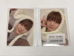 &TEAM andteam ふわふわ　アニマル　トレカ　ウィジュ　EJ