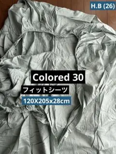 Item thumbnail for item 9b8db459-f094-4aa1-9f1d-35576669c0e6