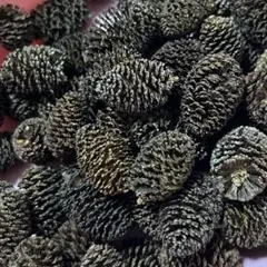 Item thumbnail for item 34b58095-a76e-4e9c-8281-10f506e442fc