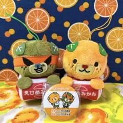 【美品】✨えひめみかん✨ダークみきゃん・みきゃんぬいぐるみマスコット缶バッジ1個