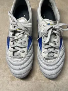 Item thumbnail for item 9db003c5-651f-4298-8a7a-e590151746ea