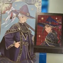 ツイステ ブルームバースデーver. ポストカード　カリム ジャミル ぱしゃこれ