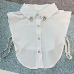 Item thumbnail for item 47a9c6c5-9825-48b0-9cca-0eff39094f00