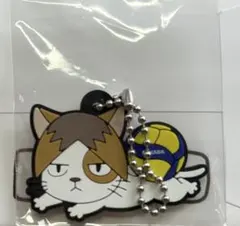 Item thumbnail for item a8fd918a-f82c-486e-a02d-5a2aeebf07b3