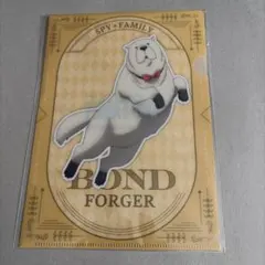 ミニクリアファイル　単独イベント　ボンド　スパイファミリー