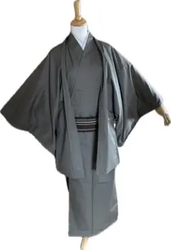 美品 夏物 駒絽 3本絽 附下げ・訪問着（正絹）仕立上り＜HH2421