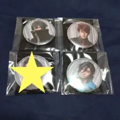 刀ミュ 目出度歌誉花舞十周年祝賀祭 ランダム缶バッジ 水心子・大包平・南海・笹貫