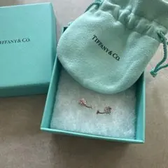 2026年最新】TIFFANY レディース ピアス(両耳用)の人気アイテム - メルカリ