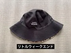 Item thumbnail for item 8ee62468-521d-4522-b7bd-be7b2a0c4daa