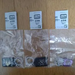 仮面ライダー　めじるしアクセサリー