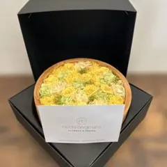 ニコラスバーグマン　プリザーブドフラワー アレンジメント