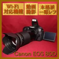 ⭐️Wi-Fi搭載機種⭐️✨Canon EOS 8000D 超広角レンズセット✨ - メルカリ