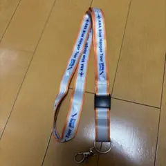 ANA Blue Hangar Tour 넥 스트랩