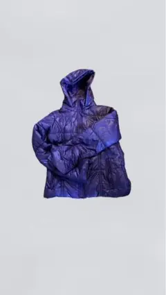 ec melodi punkandyo fuckthisindustryダウン