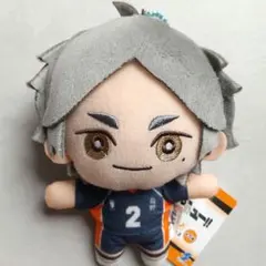ハイキュー!! 菅原孝支 ぬいぐるみ マスコット セガ ラッキーくじ