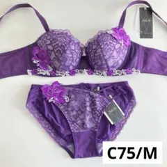 2025年最新】ワコールサルートc75の人気アイテム - メルカリ