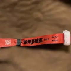 レディーガガ　大阪　Lady Gaga 来場者限定 入場特典 ペンライト