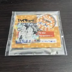 ハイキュー!! アクリルminiフィギュア 及川徹 岩泉一