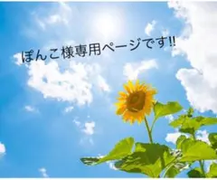 ぽんこ様専用ページです!!