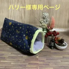 ハリー様専用ページ