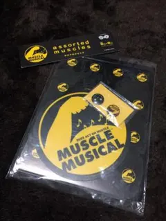 MUSCLE MUSICAL 筋肉の詰め合わせ（パンフレット） MUSCLE MUSICAL 筋肉の詰め合わせ（パンフレット） MUSCLE
