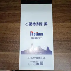 ノジマ 10%割引券 ×10枚