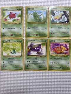 PSA9草タイプ4枚セット　旧裏ポケモンカード　カイロス　ラフレシア　ウツボット PSA9草タイプ4枚セット 旧裏 カイロス ラフレシア ウツボット キラ