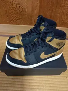 NIKE JORDAN1 MELO カーメロアンソニー　ジョーダン1
